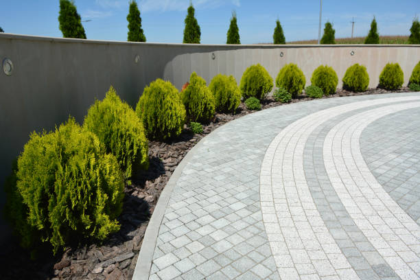 Best Brick Driveway Pavers  in Beech Mountain Lakes, PA
